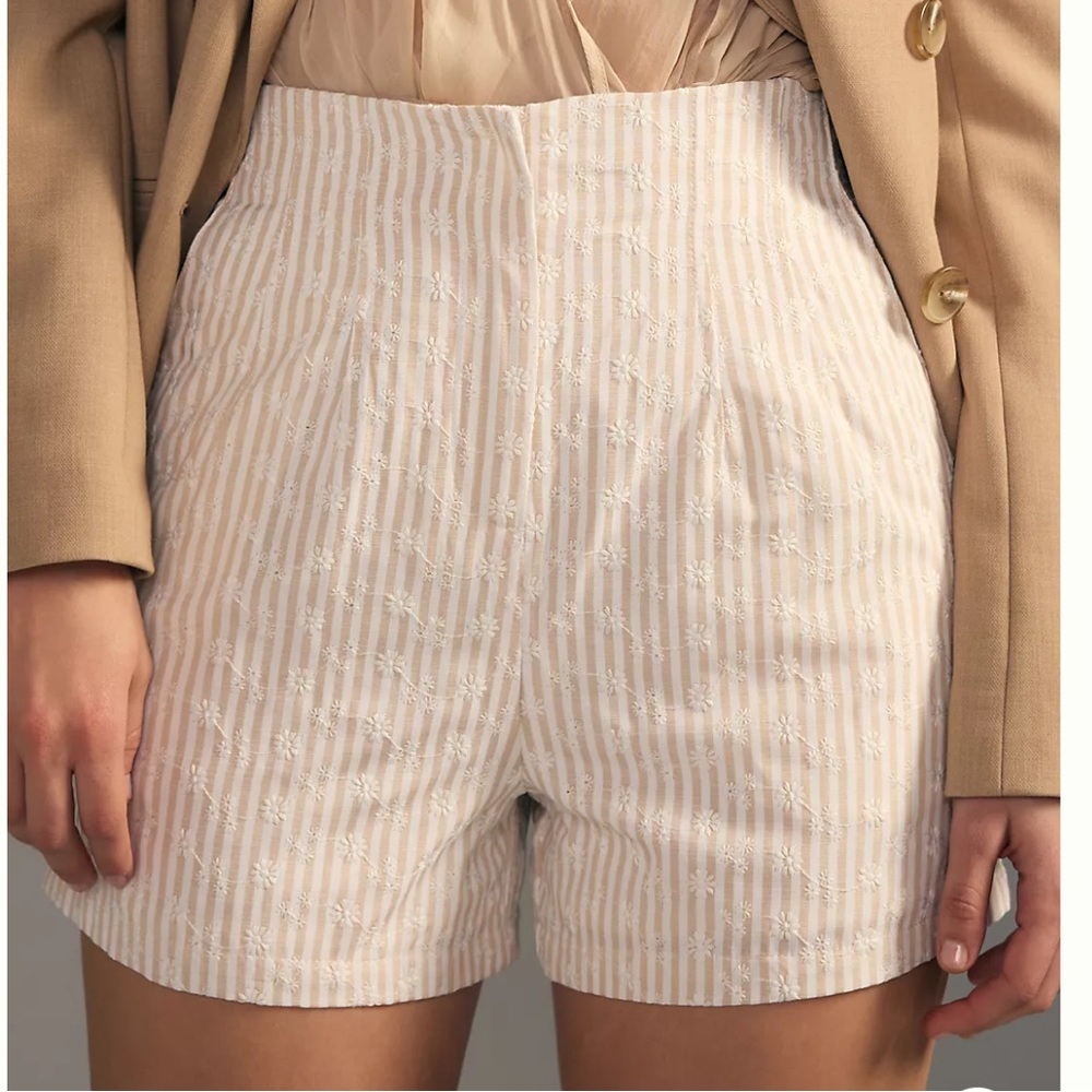 NWT En Saison Anthropologie Riley High Waisted Striped Floral Eyelet Short‎ Sz M